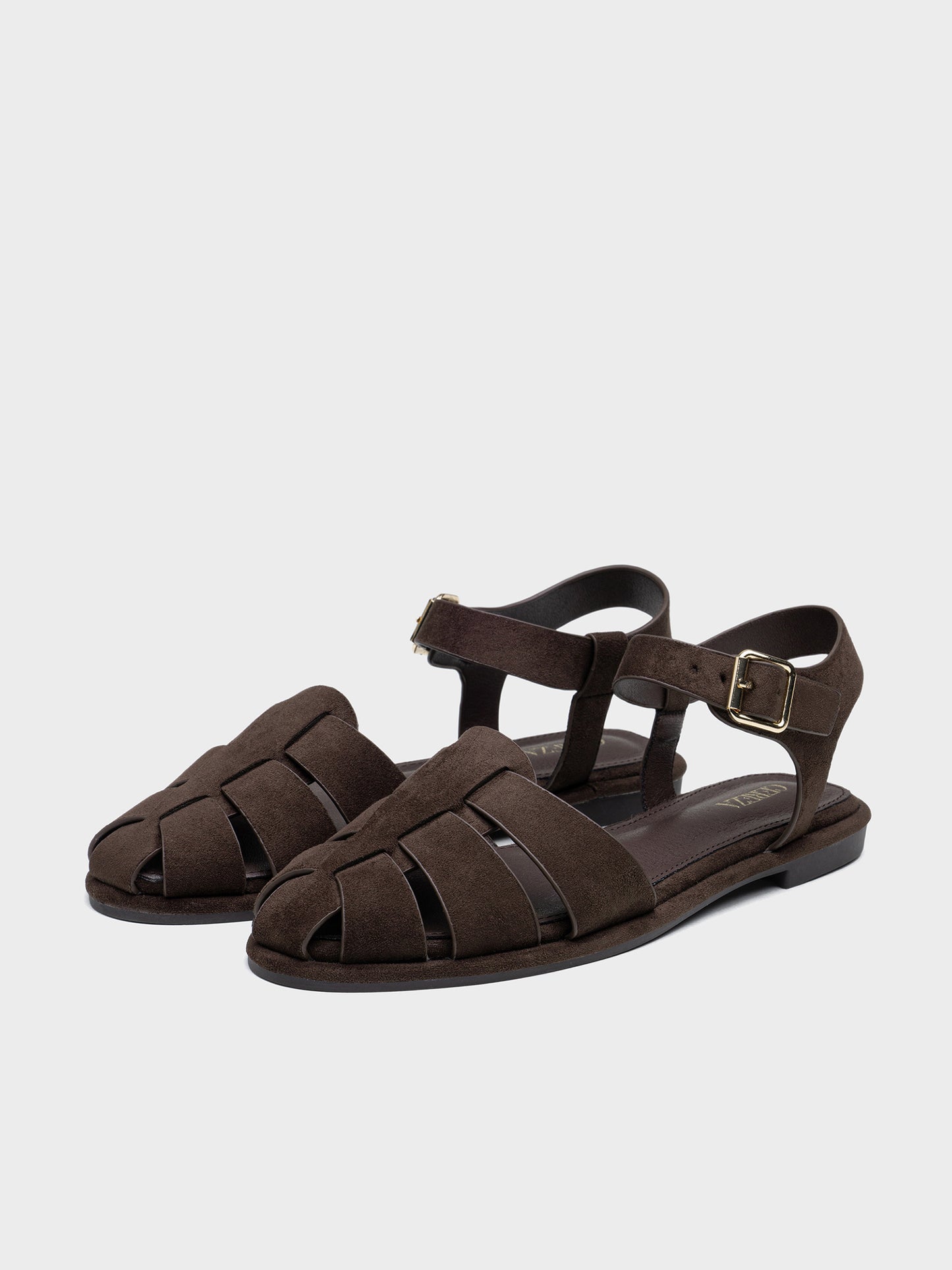 CANGREJERAS ANTELINA BROWN