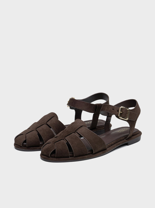 CANGREJERAS ANTELINA BROWN
